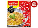 大塚食品株式会社 大塚のボンドンブリ!親子どんの素