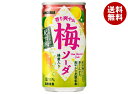 サンガリア 香り爽やか梅ソーダ 190g缶×30本入| 送料無料 ソーダ サイダー 炭酸 スパークリング 梅ソーダ うめ ウメ 梅