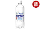 サンガリア 伊賀の天然水 強炭酸水 500mlペットボトル×24本入×(2ケース)| 送料無料 炭酸飲料 炭酸水 ソーダ 割り材 PET 強炭酸