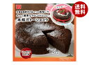 共立食品 本格ガトーショコラキット 170g×5袋入| 送料無料 袋 製菓材料 菓子材料 ガトーショコラ