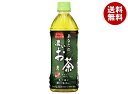 サンガリア あなたの濃いお茶 500mlペットボトル×24本入| 送料無料