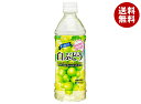 サンガリア すっきりと白ぶどう 500mlペットボトル×24本入×(2ケース)| 送料無料 果汁 果実 ぶどう グレープ PET