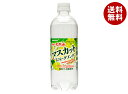 サンガリア 伊賀の天然水 マスカットスパークリング 500mlペットボトル×24本入×(2ケース)| 送料無料 マスカット ぶどう ブドウ 炭酸 炭酸水