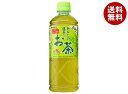サンガリア あなたの抹茶入りお茶 600mlペットボトル×24本入| 送料無料 お茶 ペットボトル 緑茶 抹茶 茶葉
