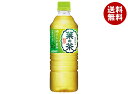 ダイドー 厳選茶葉 葉の茶 525mlペットボトル×24本入×(2ケース)| 送料無料 お茶飲料 緑茶 抹茶