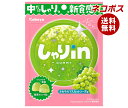 【全国送料無料】【ネコポス】カバヤ しゃりinグミ マスカットソーダ 52g×10袋入| お菓子 グミ 袋 新食感(4)