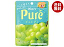 カンロ ピュレグミ マスカット 56g×6袋入×(2ケース)| 送料無料 お菓子 ビタミンC Pure 袋