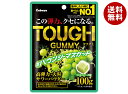 カバヤ タフグミ バウンシーマスカット 100g×6袋入×(2ケース)| 送料無料 お菓子 グミ 袋 TOUGH 高弾力 マスカット