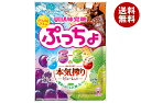 UHA味覚糖 ぷっちょ袋 4種アソート 88g×6個入×(2ケース)| 送料無料 お菓子 ソフトキャンディ アソート フルーツ