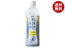 サンA ライクエナジー 500mlペットボトル×18本入×(2ケース)| 送料無料 飲料 日向夏果汁 PET