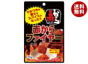 ダイショー 赤から監修 赤からファイヤー 20g×40袋入| 送料無料 一般食品 調味料 粉末 スパイス