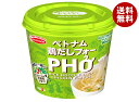 エースコック ハノイのおもてなし 鶏だしフォー 31g×12(6×2)個入| 送料無料 スープ インスタント 即席 カップ麺 米粉麺