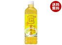 サントリー 伊右衛門(いえもん) 玄米茶【手売り用】 600mlペットボトル×24本入×(2ケース)| 送料無料 お茶 茶飲料 玄米茶 イエモン