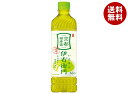サントリー 緑茶 伊右衛門(いえもん)【手売り用】 600mlペットボトル×24本入×(2ケース)| 送料無料 お茶 茶飲料 緑茶 イエモン