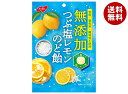 ノーベル製菓 無添加 つぶ塩レモンのど飴 90g×6個入| 送料無料 のど飴 レモン 無添加