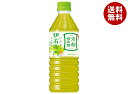 サントリー 緑茶 伊右衛門(いえもん)【自動販売機用】 500mlペットボトル×24本入×(2ケース)| 送料無料 茶飲料 緑茶 自動販売機用