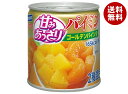 はごろもフーズ 甘みあっさりパイミン 295g缶×24個入×(2ケース)| 送料無料 缶詰 フルーツ 果物 ミカン パイン