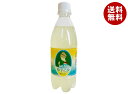 Ante(アンテ) 金沢湯涌サイダー 柚子乙女 500mlペットボトル×24本入×(2ケース)| 送料無料 炭酸 サイダー ゆず 柚子