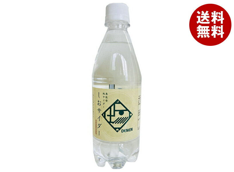 Ante(アンテ) 奥能登地サイダー しおサイダー 500mlPET×24本入×(2ケース)| 送料無料 炭酸 サイダー しお 塩