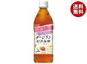 ダイドー 肌美精監修 ダージリン紅茶無糖 500mlペットボトル×24本入×(2ケース)| 送料無料 紅茶 無糖 GABA配合 ビタミン はだびせい