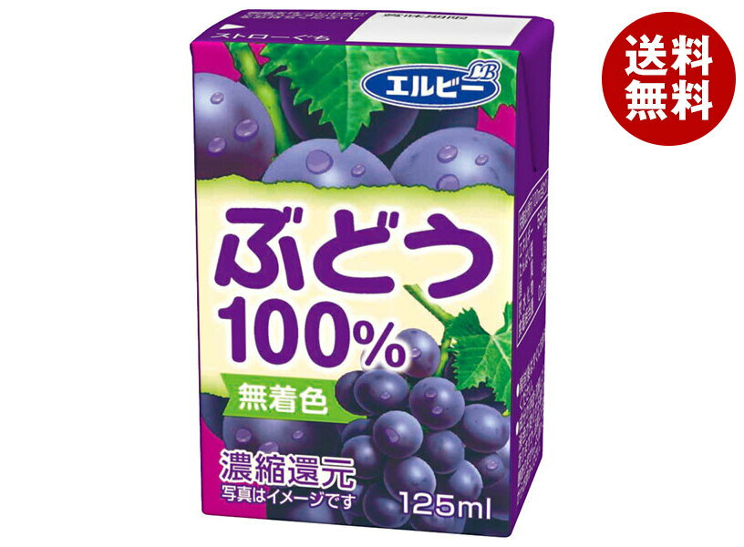 [ポイント5倍！全品対象エントリー&購入]エルビー ぶどう100% 125ml紙パック×30本入×(2ケース)｜ 送料無料 ぶどうジュース グレープジュース 紙パック 果汁 ジュース