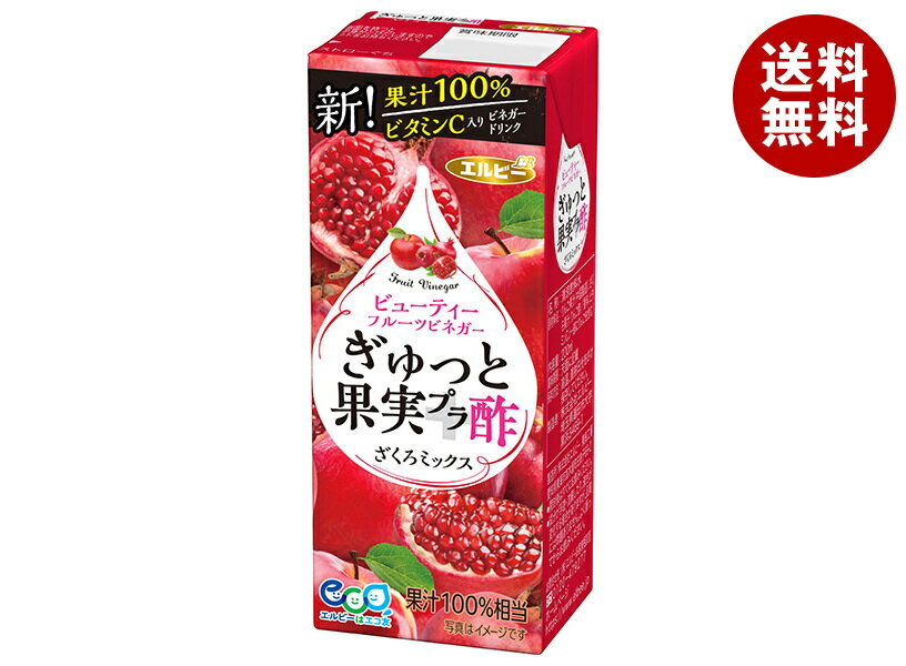 エルビー ぎゅっと果実プラ酢 ざくろミックス 200ml紙パック×24本入×(2ケース)｜ 送料無料 果実飲料 フルーツビネガー 無添加 果汁100％