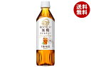 キリン 午後の紅茶 おいしい無糖【手売り用】 500mlペットボトル×24本入×(2ケース)| 送料無料 紅茶 無糖 アイスティー ストレートティー