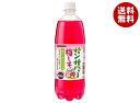 サンガリア サンサワー 梅しそ 1Lペットボトル×12本入| 送料無料 炭酸 無添加 割り材 果汁 ソーダ 炭酸飲料