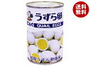 天狗缶詰 うずら卵 水煮 国産 JAS 7号缶 150g缶×24個入×(2ケース)| 送料無料 缶詰 ウズラの卵 卵 長期保存