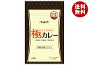 ハチ食品 極カレー 20g×30袋入×(2ケース)| 送料無料 調味料 カレー粉 ウコン入