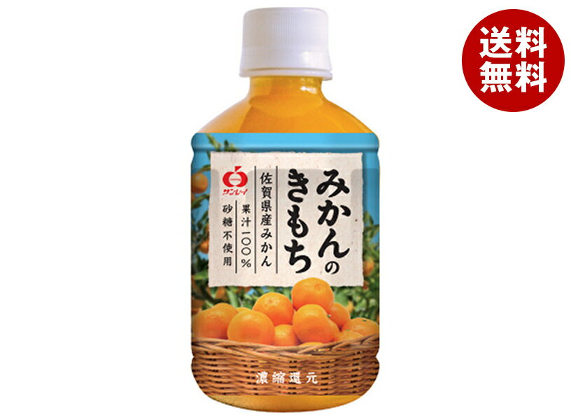 JAビバレッジ佐賀 みかんのきもち 280mlPET×24本入×(2ケース)| 送料無料 果汁 みかん オレンジジュース 100% ペットボトル