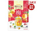 ネコポス カンロ 健康のど飴 梅 90g×6袋入| 全国送料無料 お菓子 あめ キャンディ 袋 うめ ウメ