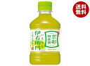 サントリー 緑茶 伊右衛門(いえもん) 280mlペットボトル×24本入×(2ケース)| 送料無料 茶飲料 緑茶 お茶