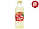 サントリー ゴールデンアップルサイダー【自動販売機用】 490mlペットボトル×24本入| 送料無料 炭酸水 フルーツ 果物 りんご