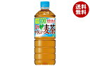 サントリー GREEN DA・KA・RA(グリーン ダカラ) やさしい麦茶【自動販売機用】 600mlペットボトル×24本入×(2ケース)| 送料無料 グリーン...