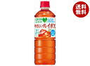 サントリー GREEN DA・KA・RA(グリーン ダカラ) やさしいルイボス 600mlペットボトル×24本入| 送料無料 グリーンダカラ dakara ルイ...