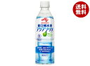 味の素 アクアソリタ 500mlペットボトル×24本入×(2ケース)| 送料無料 熱中症対策 経口補水液 水分補給 スポーツ ドリンク