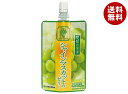 JAえひめ中央 愛媛の果実 シャインマスカットのゼリー 150g×24個入| 送料無料 ゼリー おやつ ゼリー飲料