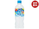 サントリー 天然水うめソルティ 540mlペットボトル×24本入×(2ケース)| 送料無料 梅 塩 熱中症対策 冷凍兼用 氷結