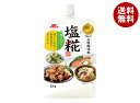 イチビキ 塩糀 300g×10本入×(2ケース)| 送料無料 こうじ 米糀 万能調味料