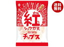 アイデアパッケージ 大阪 紅ショウガ天 ポテトチップス 90g×5袋入×(2ケース)| 送料無料 お菓子 おやつ スナック菓子 ポテチ