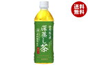 アシード 深蒸し茶 500mlペットボトル×24本入| 送料無料 茶飲料 お茶 緑茶 抹茶入
