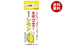 博水社 濃縮ハイサワー ぎゅうっとレモン 500ml紙パック×12本入×(2ケース)| 送料無料 割り材 紙パック レモン