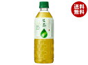キリン 生茶 555mlペットボトル×24本入| 送料無料 お茶 緑茶 茶飲料 清涼飲料水