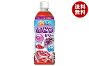 ダイドー ぷるシャリ ぶどうゼリー 490mlペットボトル×24本入×(2ケース)| 送料無料 ゼリー飲料 ぶどう 果汁 PET 氷結飲料