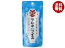 友桝飲料 凍ル堂 ラムネアイス 80gパウチ×36本入| 送料無料 ラムネ アイス 飲料