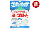 アイデアパッケージ 白バラ牛乳使用 ヨーグルトグミ 40g×10袋入×(2ケース)| 送料無料 お菓子 グミ 乳酸菌入り 白バラ牛乳