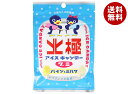 アイデアパッケージ 北極アイスグミ パイン&ミルク 36g×10袋入×(2ケース)| 送料無料 お菓子 グミ アイスキャンディー ひんやり
