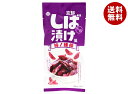 アイデアパッケージ 京都しば漬け風 柿ノ種揚 42g×10袋入| 送料無料 おつまみ 柿の種 揚げおかき 漬物風