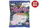 エイワ ブルーベリー マシュマロ 65g×12袋入×(2ケース)| 送料無料 お菓子 マシュマロ 袋